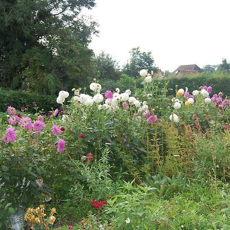 Au Clos Du Logis Maintenay Exteriér fotografie